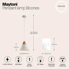 Подвесной светильник Maytoni P359-PL-01-W
