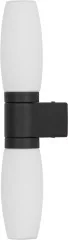 Настенный светильник Arte Lamp A1209AP-2BK