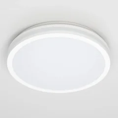 Потолочный светильник Citilux CL711020V