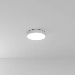 Потолочный светильник Arte Lamp A6635PL-1WH