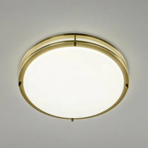 Настенно-потолочный светильник Citilux CL709503N