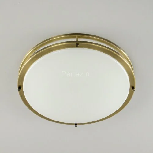 Настенно-потолочный светильник Citilux CL709503N