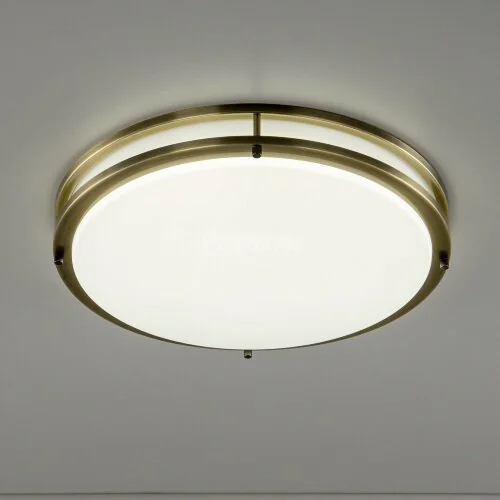 Настенно-потолочный светильник Citilux CL709503N