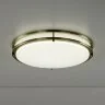Настенно-потолочный светильник Citilux CL709503N