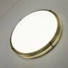 Настенно-потолочный светильник Citilux CL709503N