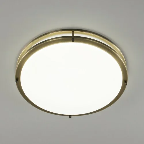 Настенно-потолочный светильник Citilux CL709503N