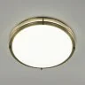 Настенно-потолочный светильник Citilux CL709503N