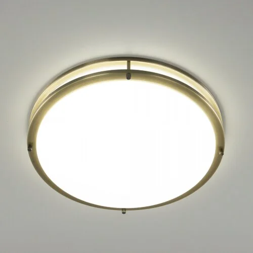 Настенно-потолочный светильник Citilux CL709503N