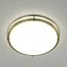 Настенно-потолочный светильник Citilux CL709503N