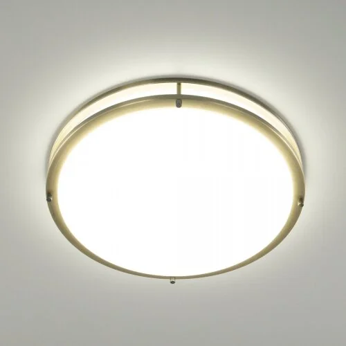 Настенно-потолочный светильник Citilux CL709503N