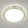 Настенно-потолочный светильник Citilux CL709503N