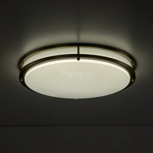 Настенно-потолочный светильник Citilux CL709503N