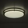 Настенно-потолочный светильник Citilux CL709503N