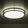 Настенно-потолочный светильник Citilux CL709503N