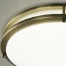 Настенно-потолочный светильник Citilux CL709503N