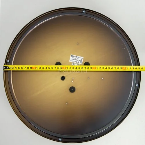 Настенно-потолочный светильник Citilux CL709503N