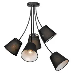 Потолочная люстра Lussole LGO LSP-8266