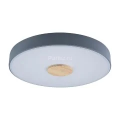 Потолочный светильник Loft It 10003/24 Grey
