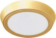 Потолочный светильник Lightstar 216932