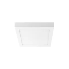 Настенно-потолочный светильник Lightstar 324062