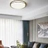 Потолочный светильник ImperiumLoft VEDUM01