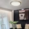 Потолочный светильник ImperiumLoft VEDUM01