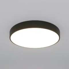 Потолочный светильник Eurosvet 90320/1