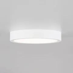 Потолочный светильник Citilux CL5522N