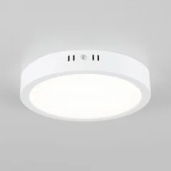 Потолочный светильник Citilux CL5522N
