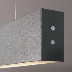Подвесной светильник Elektrostandard 101-200-30-53