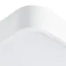 Потолочный светильник Arte Lamp A2663PL-1WH