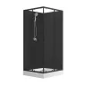 Душевая кабина Loranto NEO 90x90x(190+15) с низким поддоном 15см, прозрачное закаленное стекло 5 мм, задние стеклянные стенки черные, профиль черный-м