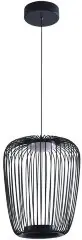 Подвесной светильник Arte Lamp A3528SP-12BK