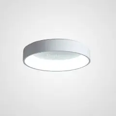Потолочный светильник ImperiumLoft TRAY01