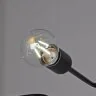 Потолочная люстра ILLUMICO IL2000-8C-05 BK