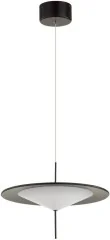 Подвесной светильник Odeon Light 5012/16L