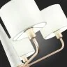 Подвесная люстра ST Luce SL1163.203.05