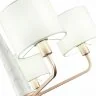 Подвесная люстра ST Luce SL1163.203.05