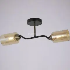 Потолочная люстра ILLUMICO IL8148-2COU-79 BK BR Bice