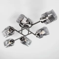 Потолочная люстра Eurosvet 30165/6 черный жемчуг