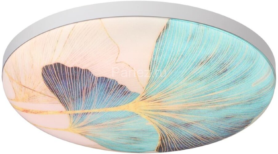 Настенно-потолочный светильник Sonex 7747/EL