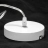Подвесная люстра Lussole LGO GRLSP-8270