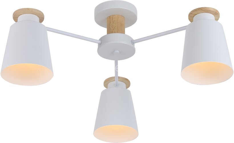 Потолочная люстра Rivoli 9112-303