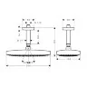 Верхний душ Hansgrohe Raindance Select E 300 2jet