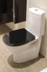 Сиденье с черной крышкой VICTORIA NORD микролифт
