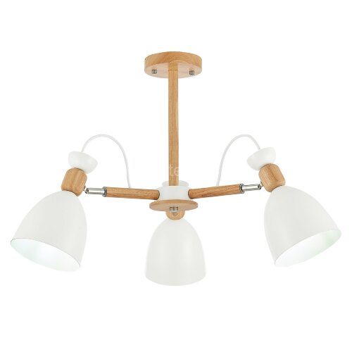 Потолочная люстра Evoluce SLE103802-03