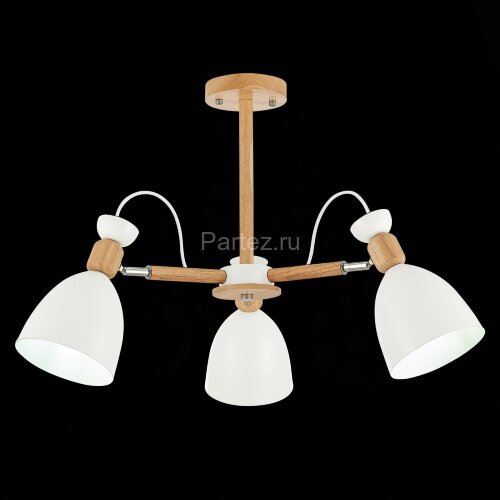 Потолочная люстра Evoluce SLE103802-03