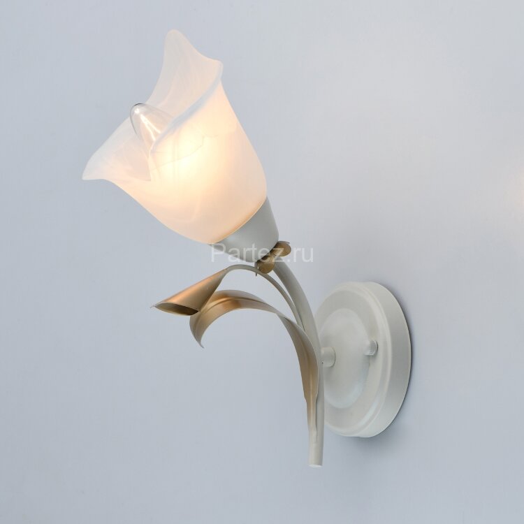 Бра MW-Light 242027601