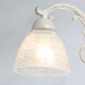 Потолочная люстра MW-Light 105010303