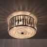 Потолочный светильник Citilux CL331151